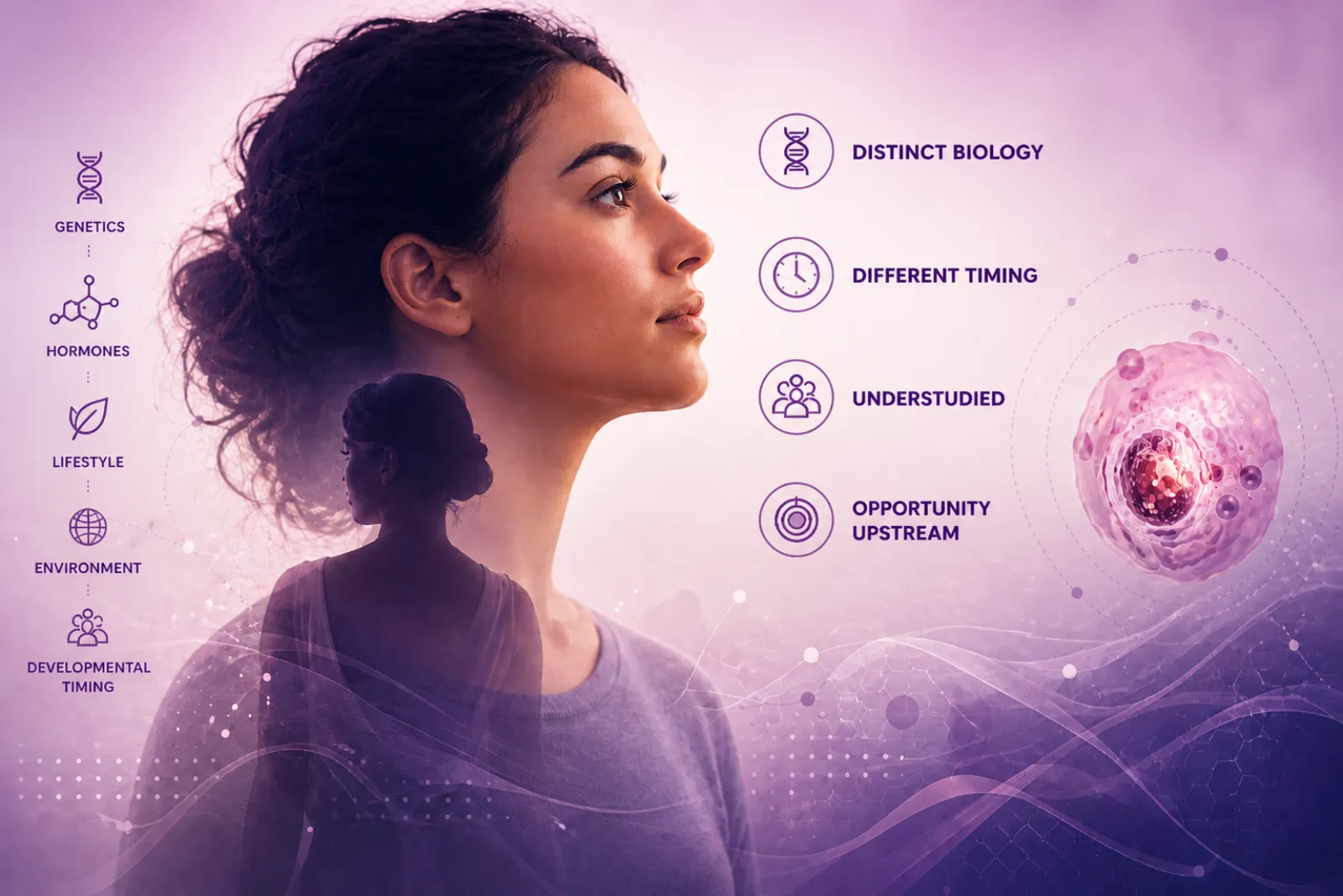 Why Young Women — distinct biology, different timing, understudied populations, and the upstream opportunity. Genetics, hormones, lifestyle, environment, and developmental timing converge on early breast biology in premenopausal women.