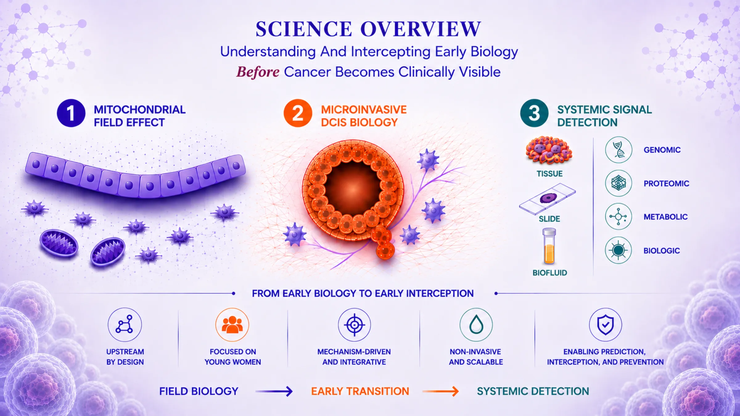 Redefining Breast Cancer in Young Women — moving discovery upstream to early, measurable biology. Three integrated programs: Mitochondrial Field Effect, Microinvasive DCIS Biology, and Systemic Signal Detection — flowing from field biology to early transition to systemic detection.