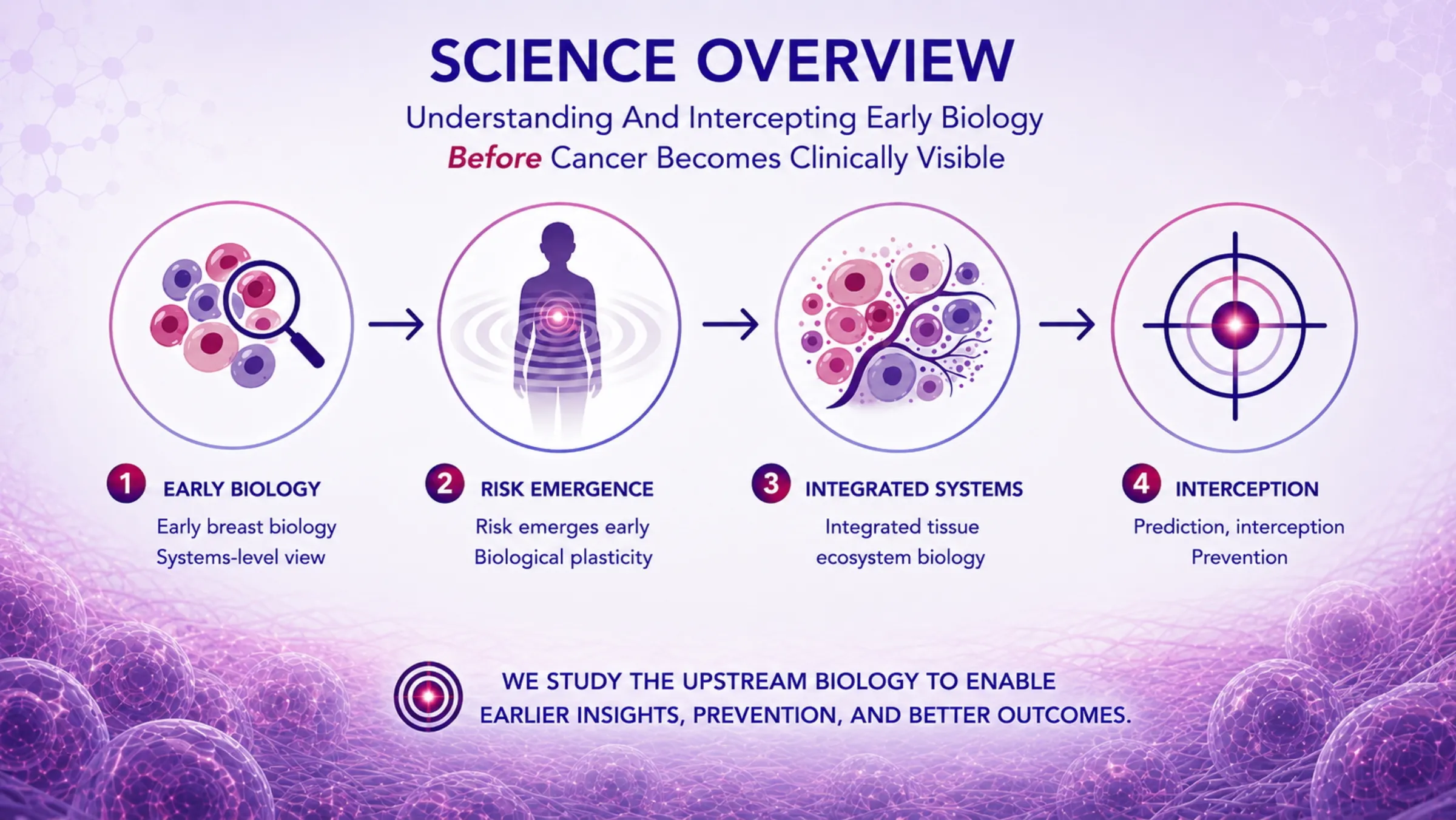 Science Overview — Understanding and intercepting early biology before cancer becomes clinically visible. Four stages: Early Biology, Risk Emergence, Integrated Systems, and Interception.