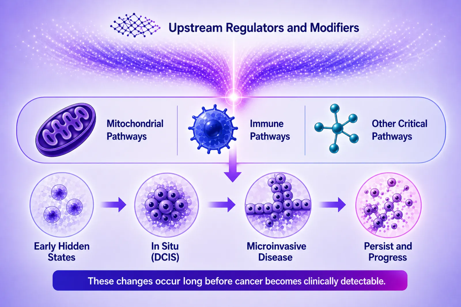 Schematic titled "Upstream Regulators and Modifiers" — mitochondrial, immune, and other critical pathways feeding into early hidden states, in situ disease (DCIS), microinvasive disease, and progression.